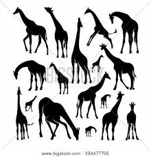 Try few giraffe crafts among top 9 below mentioned crafts, 1. Set Giraffe Logo Vector Photo Free Trial Bigstock