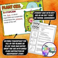 Maybe you would like to learn more about one of these? Moca News 47 Plant And Animal Cell Coloring Page Answer Key Tammy Morehouse
