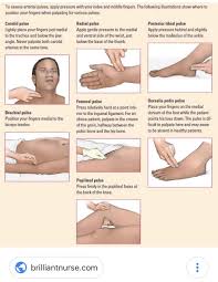 Back To The Basics Fun Fact The Dorsalis Pedis Pulse Is Not Commonly Present In Health Medical School Essentials Medical Assistant Student Nursing Assessment