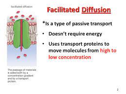 Types Of Cellular Transport Passive Transport Does Not Require Energy Cell Doesn T Use Energy 1 Diffusion 2 Facilitated Diffusion 3 Osmosis Active Ppt Download