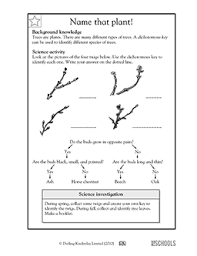 These fifth grade science worksheets cover a wide variety of topics and feature reading passages, word searches, and more. 5th Grade Science Worksheets Word Lists And Activities Page 6 Of 9 Greatschools