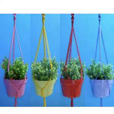Warna bunganya sangat bervariasi mulai dari pink, merah, putih, hingga merah kehitaman. Jual Tali Pot Gantung Pot Tanaman Hias Terbaru Juni 2021 Blibli