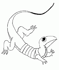 Available in pdf & google slides format. Komodo Dragon Coloring Pages Coloring Home