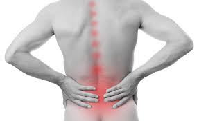 Forschungsgruppe Dr Feil Kompetenz Ist Unsere Starke Spondylose