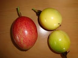 Les Fruits De Guadeloupe Part 1 Geocaching Guadeloupe Fruit Apple Pear