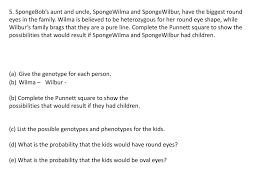 Allow students to work in pairs to help each other to complete guided practice #3. Ppt Planner Oct 23 T Punnett Squares D Predict The Probability Of An Offspring S Genotype Powerpoint Presentation Id 2005185