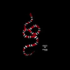 gucci snake wallpaper 51 pictures