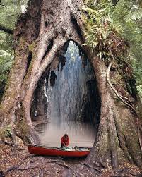 The Beauty Of Nature Photo Art Nature Landscape