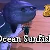 Mola — can refer to: 1