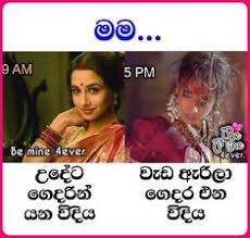 Check spelling or type a new query. 250 Sinhala Jokes Ideas In 2021 Jokes Jokes Quotes Jokes Photos