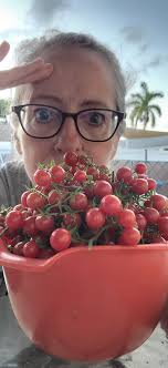 This week's harvest of cherry tomatoes...all from one plant growing since  March 2020 and still flowering. Roasted 235 tomatoes. Served them over  angel hair pasta and a deconstructed pesto with fresh basil