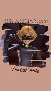 Pin By Nani Borg On Miraculous Cat Noir Wallpaper Miraculous Wallpaper Miraculous Ladybug Anime