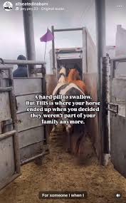 Auction after auction, we see...