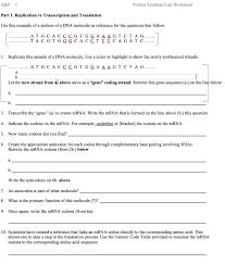 Dna transcription and translation practice worksheet with key tpt. Solved A P I Protein Synthesis Lab Worksheet Part 1 Repl Chegg Com