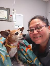 Please pray for my girl! She had a seizure:( tears)