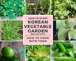 Vegetable gardens come in all shapes and sizes. 9 Korean Vegetables To Grow In Your Garden This Spring Kimchimari