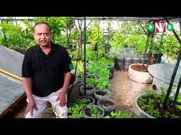 30 How To Start Your Organic Terrace Garden Harish Mysore 1 Youtube Organic Gardening Gardening Tips Rooftop Garden