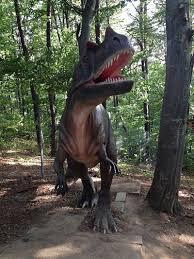 Good availability and great rates. Dino Parc Rasnov Daniel Urda