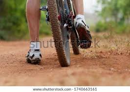 Mountain bike animal crossing new horizons. Shutterstock Puzzlepix