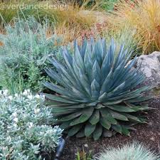 33 reviews of agave tree & landscape we used agave's online request system and got a call back the next day from geoff. Climate Zones 101 Verdance Landscape Architecture