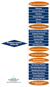 Shipping Company Hierarchy Chart Company Hierarchy Structure