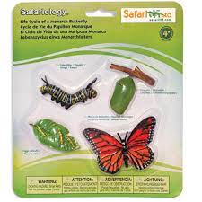 Life Cycle Of A Monarch Butterfly Safari Ltd Butterfly Life Cycle Monarch Butterfly Life Cycles
