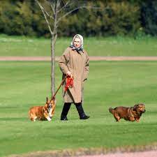 Queen Elizabeth So Verwohnt Sie Ihre Hunde Gala De