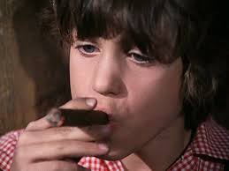 The Illustrated Little House