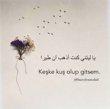 Gokyuzu Bizim Olmasin Biz Gokyuzu Olalim Kus Olalim Bulut Olalim Ama Asla Bir Gonlu Yaralayip Iyilestirmeden Gidenl Guzel Soz Ozlu Sozler Pozitif Sozler