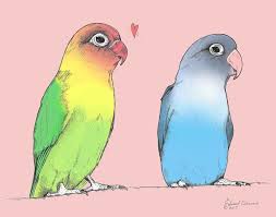 Lovebirds Of A Different Color Color Print From By Diagonalcomics Bird Drawings Drawings Lovebirds Art