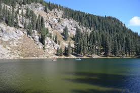 Understanding long-term drivers of vegetation change and stability in the  Southern Rocky Mountains with paleoecological data and ecological models