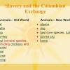 The columbian exchange, named for the explorer christopher columbus, describes the transmission of plants, animals, goods, and slaves between europe, the americas, and africa. 1