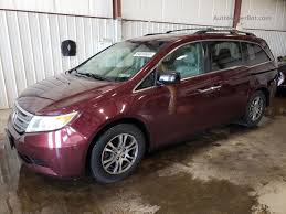 Image result for Dark Cherry 2013 Odyssey