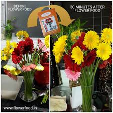 We did not find results for: Flower Food Home Facebook