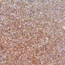 Jamie Wonderland On Instagram Sand Microscopic Fragments Of Glass And Shells Warrnambool Wonderland Warrnambool Instagram Posts Wonderland