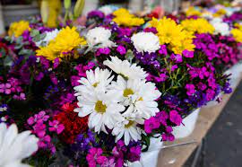 Check spelling or type a new query. Coronavirus Flower Wholesalers Can Operate As Essential Businesses Garcetti Says Daily News