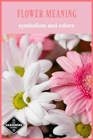 Maybe you would like to learn more about one of these? Flower Meaning Symbolism And Colors Gardening Channel