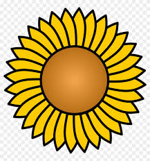 With the help of this coloring pages your kid will learn that how to spell sunflower.they will also teach that it is start with s. Sunflower Vector Printable Mandala Coloring Pages Free Transparent Png Clipart Images Download
