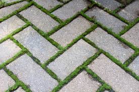 Mar 14, 2015 · hi, any ideas how to get rid of moss in flower beds ?. How To Get Rid Of Moss In Garden Beds Archives School Drillers