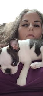 Bird dog adoption in Idaho for Father's Day