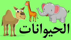 Ucapan selamat ulang tahun islami dalam bahasa arab. Bahasa Arab Namakan Haiwan Dalam Bahasa Arab Quiz Quizizz