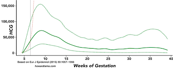 Four Tips For Using A Quantitative Hcg Test