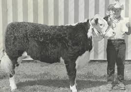 ABOUT MACK — Mack's BBQ Sauce