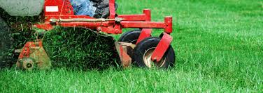 Lawn Landscape Maintenance In Brandon Fl Your Green Team