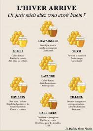 Quel Miel Choisir Aliments Bons Pour La Sante Alimentation Et Sante Les Super Aliments