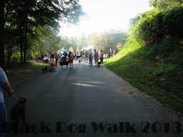 We hold adoption events every weekend around the greater charlotte area. Greater Charlotte Spca