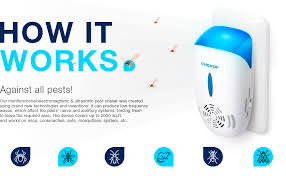 Find electronic pest repellant from a vast selection of weed & pest control. Amazon Com Crioxen Ultrasonic Pest Repeller Plug In Electronic Portable Pet Safe 5 In 1 Electromagnetic Waves Ultrasound Control Repellent For Mice Rats Mosquitos Spiders Rodents Insects Indoor Garden Outdoor