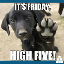 Checkout happy friday memes who give you joy, fun the best happy friday meme for you. It S Friday High Five Its Friday Quotes Friday Humor Funny Friday Memes