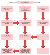 Free 2019 Acls Study Guide Acls Made Easy