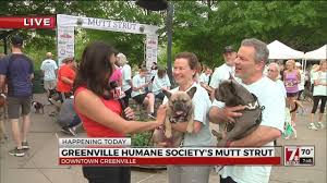 Greenville humane society 305 airport road greenville, sc 29607 tel: 2017 Greenville Humane Society Mutt Strut 2 Youtube